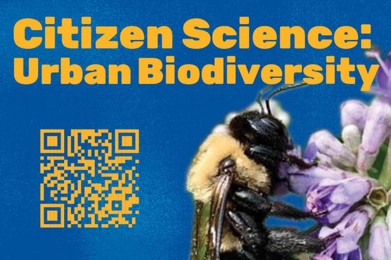 Citizen Science: Urban Biodiversity
