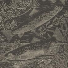 Print called "Spawning Trout" from the Nesbitt Collection